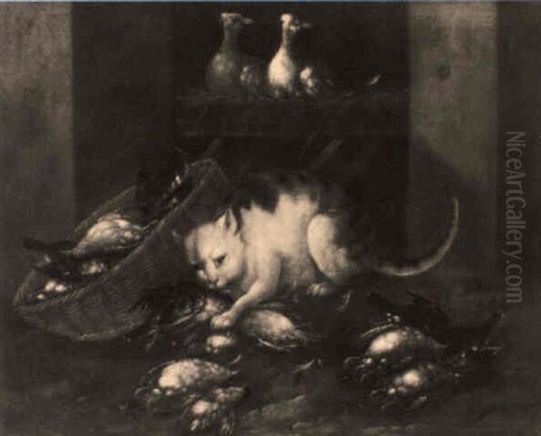 Natura Morta Con Gatto - view 1