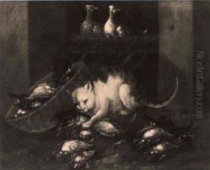 Natura Morta Con Gatto