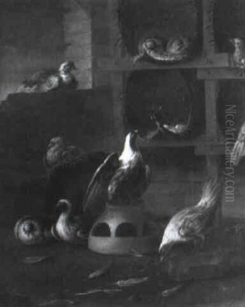 Pigeons In A Loft - view 1