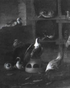 Pigeons In A Loft by Felice Boselli
