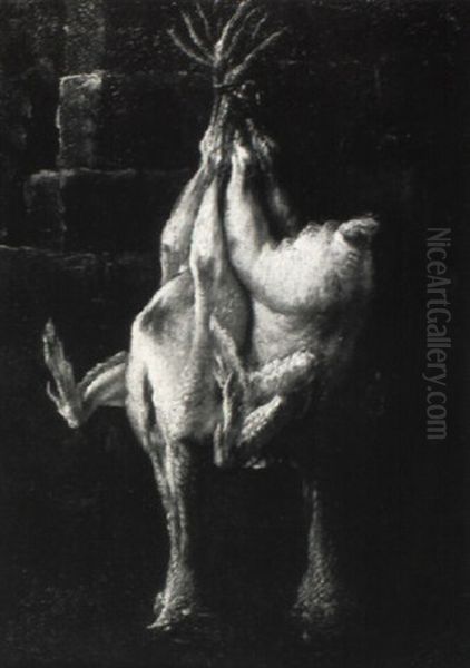 Dead Poultry Hanging On A Wall - view 1