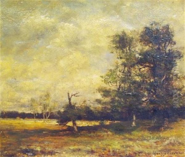 Wooded Landscape - view 1