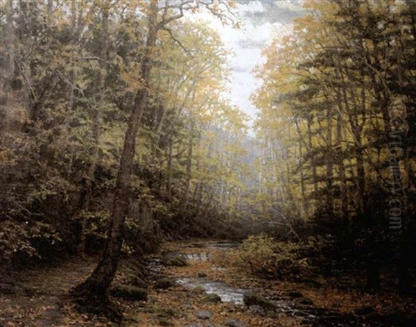 Impressionistic Wooded Landscape - view 1