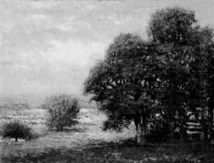 Hackensack Valley, New Jersey, Summer by Robert Ward Van Boskerck