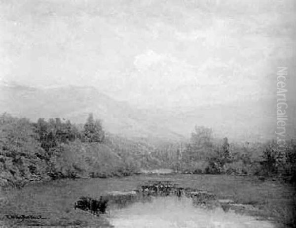 Summer Landscape - view 1