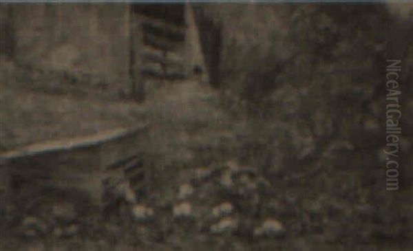Chicks And Coop - view 1