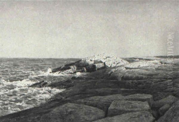 Near The Coast - view 1