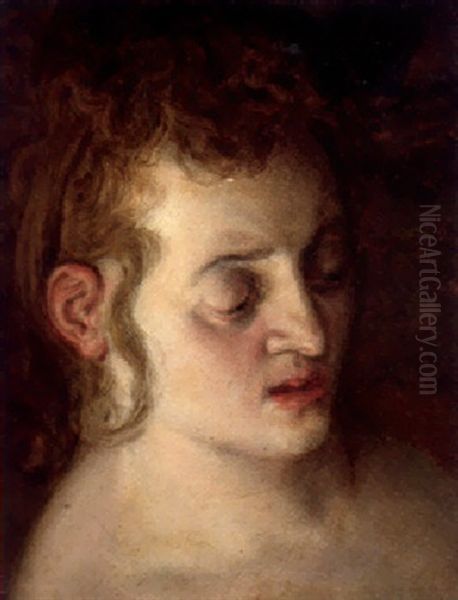 The Head Of A Woman - view 1