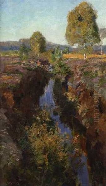 Moorlandschaft - view 1