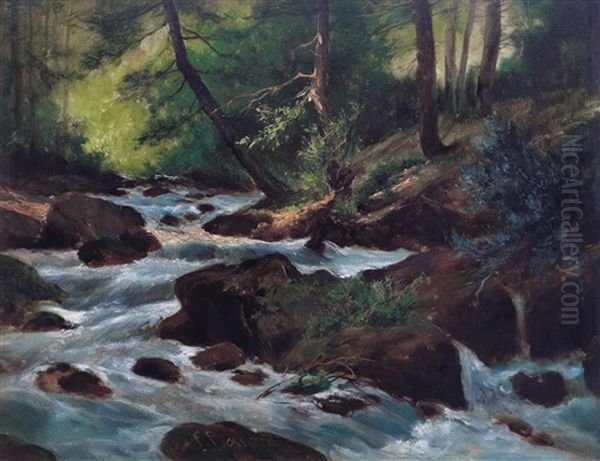 Ruscello Nel Bosco - view 1