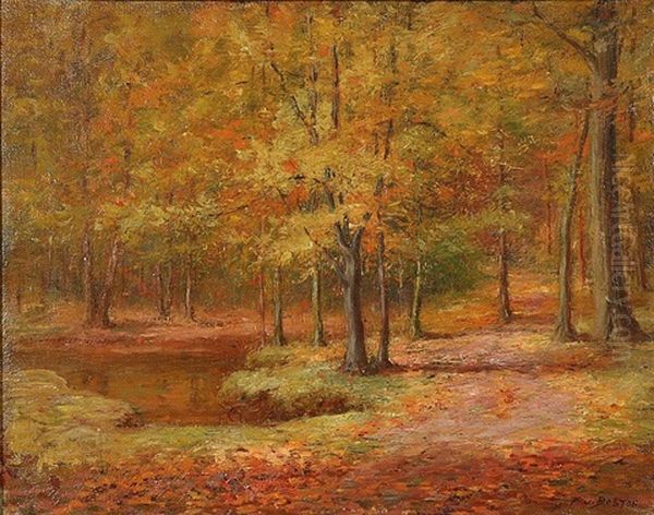 Autumn - view 1