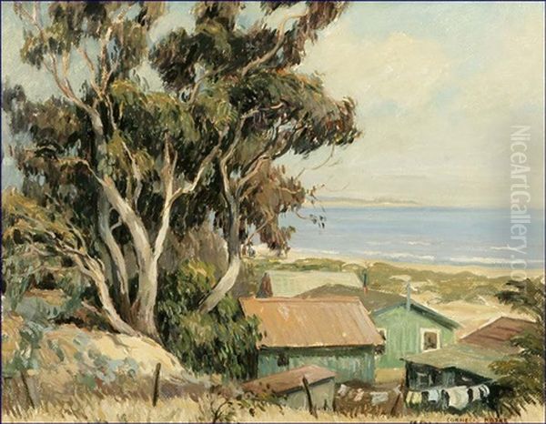 Shady Retreats - view 1