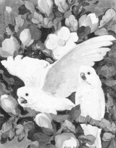Cockatoos And Magnolia Cockatoos And Magnolia