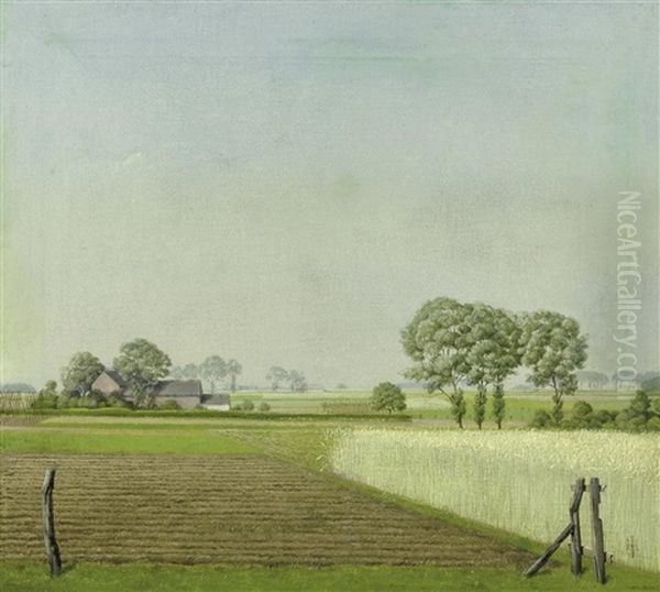 Niederrheinlandschaft (sommer Am Niederrhein) - view 1