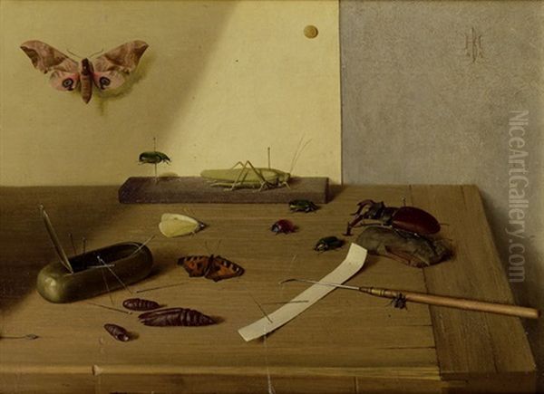 Insekten Und Larven - view 1