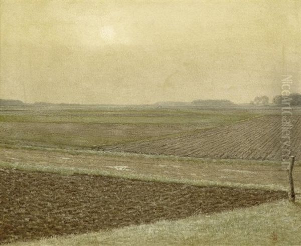 Felder - view 1