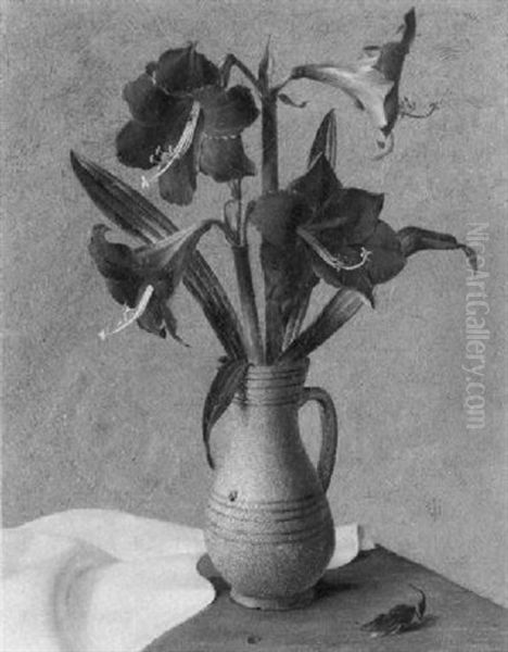 Amaryllis - view 1