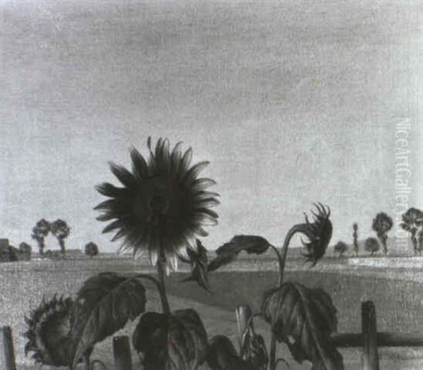 Sonnenblumen - view 1