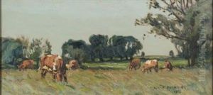 Cattle Grazing In A Meadow Cattle Grazing In A Meadow