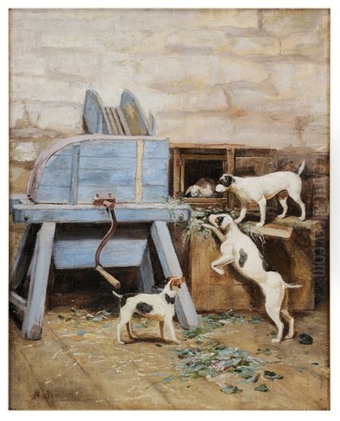 Jack Russell Terriers With A Caged Rabbit - view 1