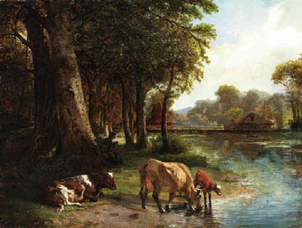 Cows Watering By The River's Edge - view 1