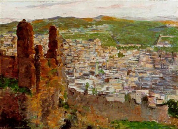 Fes Vue Du Tombeau Des Merenides - view 1