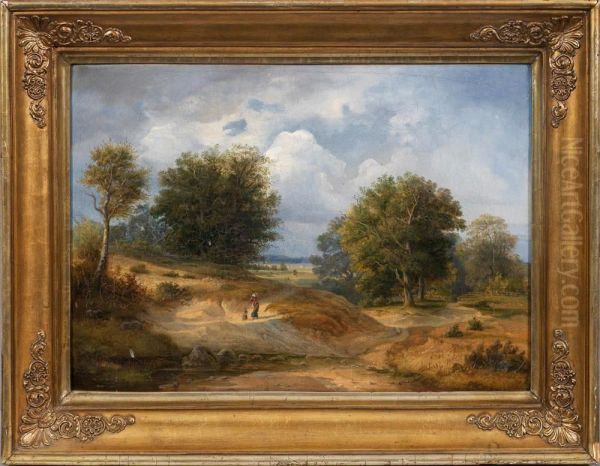 Norddeutschesommerlandschaft - view 1