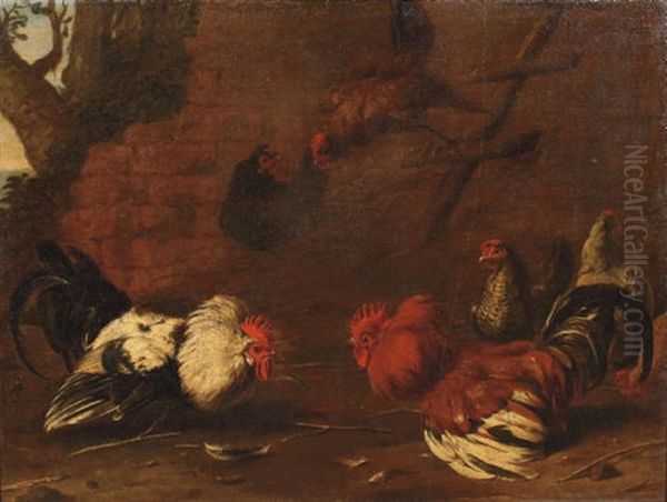 Roosters Fighting In A Landscape - view 1