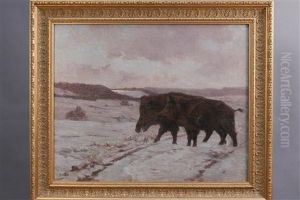 Sangliers Das La Neige