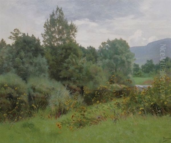 Landscape By The Ognon - view 1