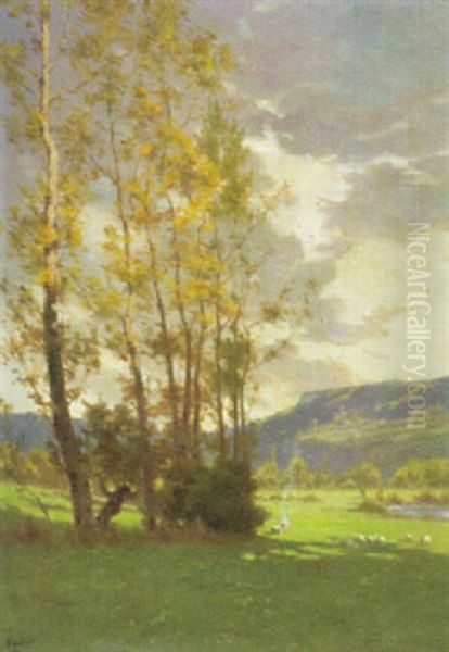 La Saison Doree - view 1
