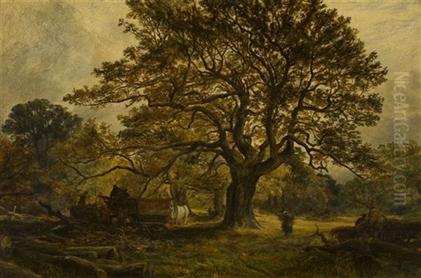 Wood Cutters, Cadzow Forest - view 1