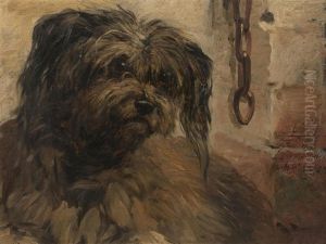 Spring, A Terrier