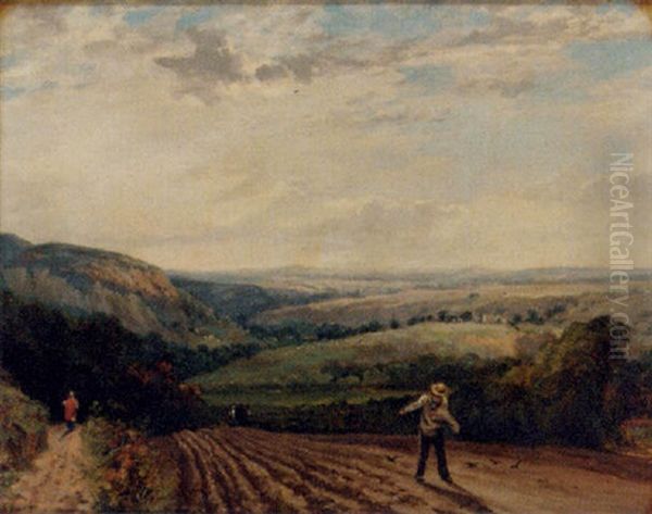Sowing The Reed - view 1