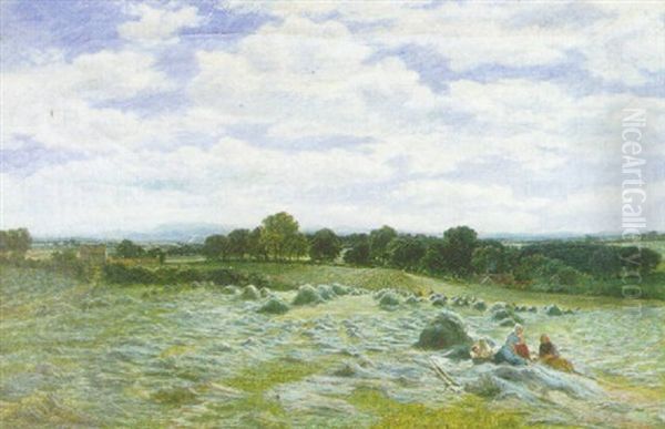 Hayfield - view 1