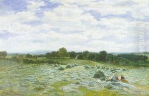 Hayfield