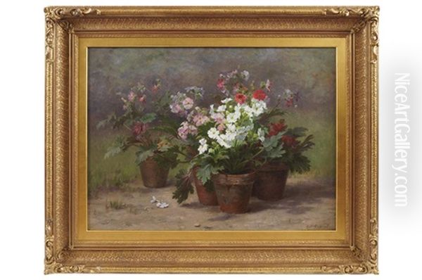 Flowers In Pots - view 1
