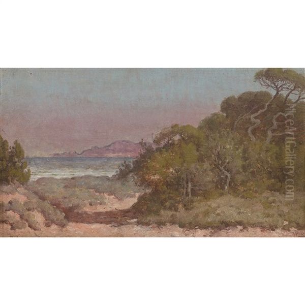 Paysage De La Cote D'azur (porquerolles) - view 1
