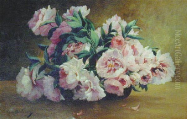 Pivoines - view 1