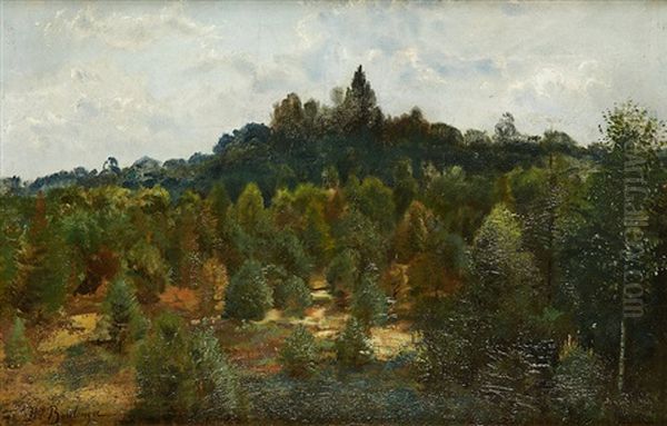Vue Du Parc De Laeken - view 1