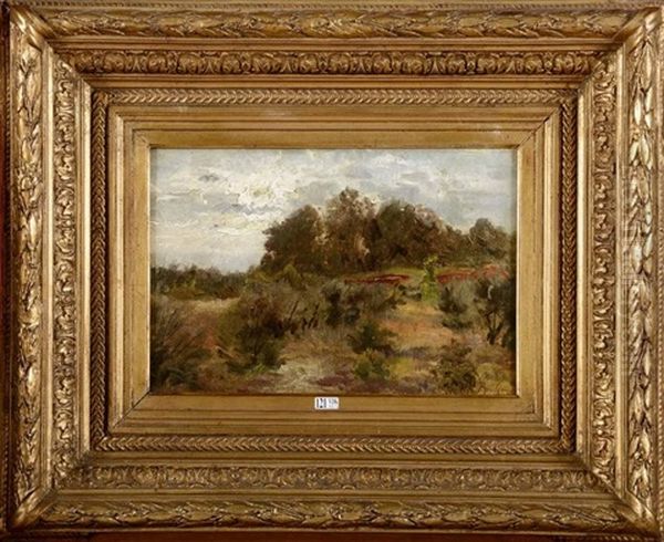 Paysage - view 1