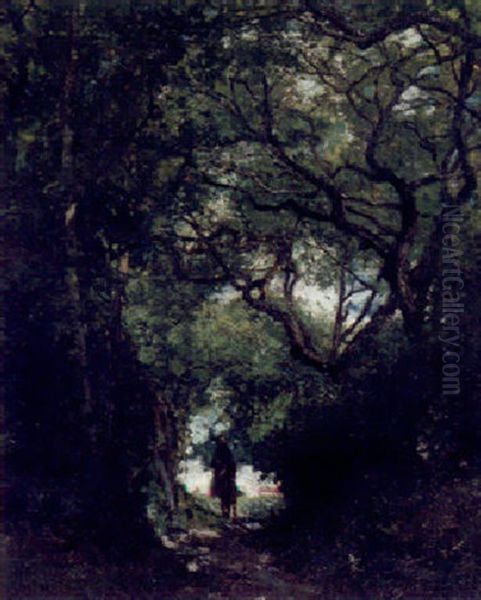 Paysage Sous Bois - view 1