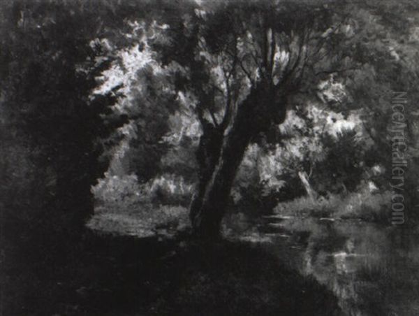 Le Ruisseau De Falmagne - view 1