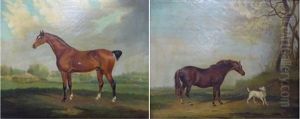 Study Of A Bay Horse In A Landscape; Study Of A Chestnut Horse And A Terrier by Augustus S. Boult