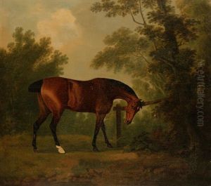 A Study Of A Horse In A Wooded Landscape
