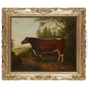 Portrait Of A Bull