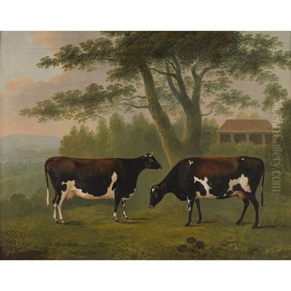 Study Of Two Cows - view 1