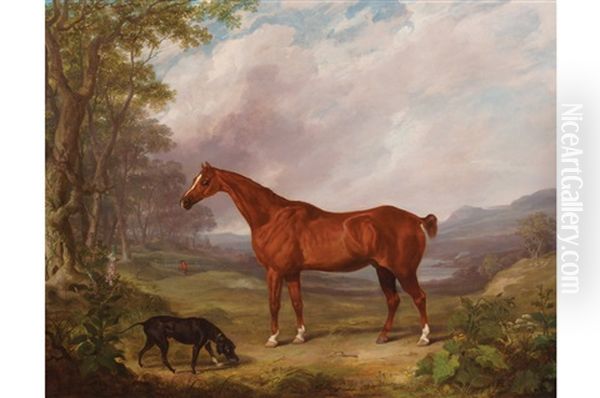 Stallion And A Dog - view 1