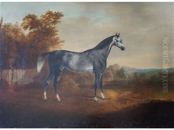 A Dappled Grey Horse In A Landscape - view 1