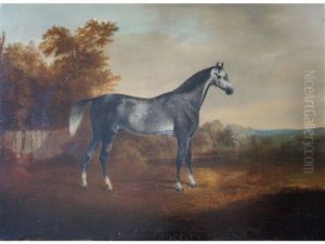 A Dappled Grey Horse In A Landscape